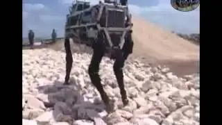 Robot Dog,