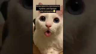 Процес запущено