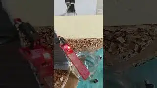 Water Level Alert System #arduinotutorial #arduinokit #arduino #robotics #programming #Sensors #IoT