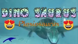 Plesiosaurus - The Sound Effects of Plesiosaurus
