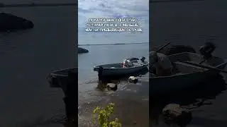 2 часть нашего эпичного отдыха #отдыхспалаткой #природа #ленинградская_область #спб