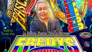 🎶😱 LA PAVITA 😱🎶 OTRA VERSIÓN 😱🎶