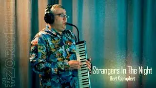 Strangers in the Night ♫ FRANK SINATRA 🎹 Suzuki Hammond Melodion