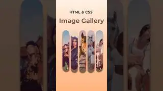 Accordion using HTML CSS