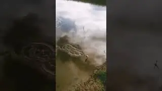 Карасики на живца