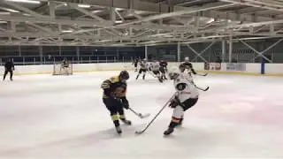 Tigers - Штерн