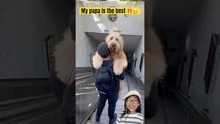 I’m braver with Papa‼️🐶
