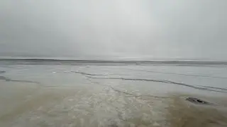 Riscaldamento climatico.