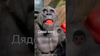 Выбирай скин, кем будешь играть? 🎮 