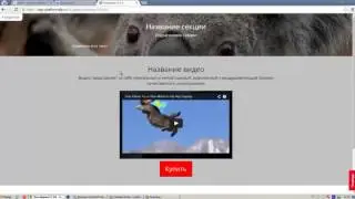 Как создать продающую страницу с Platforma LP !