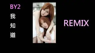 電音舞曲 BY2-我知道 (lyrics)