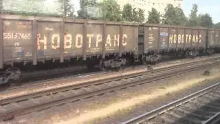 Прибытие на станцию Витебск