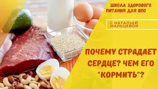 ПОЧЕМУ СТРАДАЕТ СЕРДЦЕ  ? ЧЕМ ЕГО "КОРМИТЬ"?
