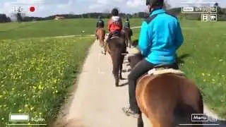 Jones-Art : Isländer - Ausritt - Islandpferdehof Paradisiland am Ostersee