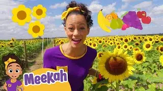 NEW! Southern Hill Farms | Educational Videos for Kids | Blippi and Meekah Kids TV