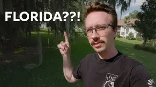I Had to Go Back Home...
