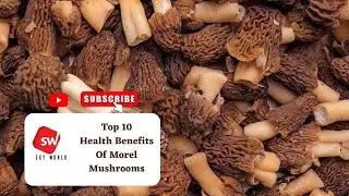 Top 10  Health Benefits Of Morel Mushrooms | Health Tips | Sky World