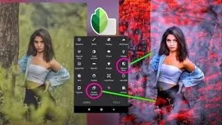 Snapseed New Tricks   Just 2 Step Best Color Effect   Snapseed Amazing Photo Editing480P