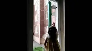 Бабочка залетела в квартиру! Кристина пытается её поймать)))))