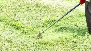 Strong power electric grass cutter machine #nplus #grasscuttermachine