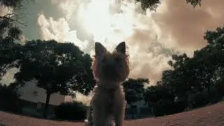 Paseito despues de mucho tiempo :D