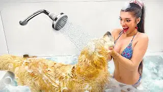 J’ai pris un bain avec mon chien (Après 6 mois sans le laver)