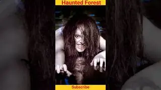 haunted forest in java | 1970 | scary place in indonesia #indonesia  #alaspurwobanyuwangi  #dracula