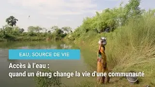 Accès à l’eau : quand un étang change la vie d'une communauté