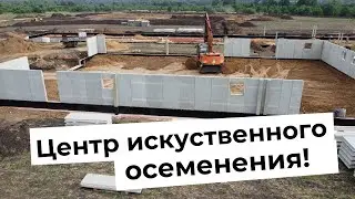 Строительство центра искусственного осеменения свиней.