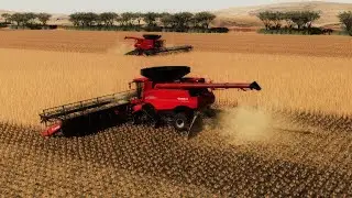 Big Harvest Western Australia in Farming Simulator 19 - Movie
