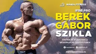 Berek Gábor 