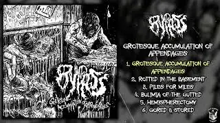 Bypass - Grotesque Accumulation of Appendage FULL EP (2025 - Goregrind / Slam)
