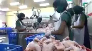Poultry Farming in Karnataka   English