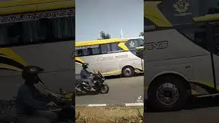 di senggol bus