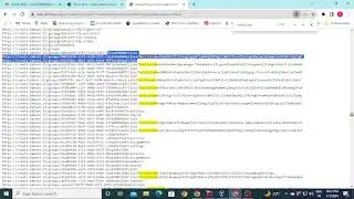Information Disclose in waybackurls
