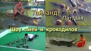 Крокодиловая ферма Паттайя/ Шоу с крокодилами/ Кормление крокодилов/ Диковинные рыбы/ Ядовитые змеи