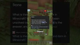 What’s The Common Minecraft Item? #minecraft #shorts