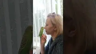 Говорящий попугай Кеша Parakeet film