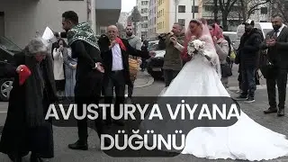 Avusturya Viyana Mesut & Banu'nun Düğünü #düğüntv  #halay #sünnet #govend #sünnetdüğün