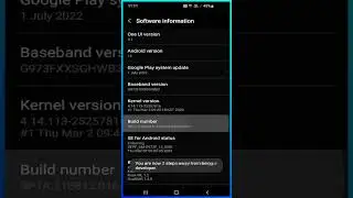 How To Turn On Developer Mode On Android!