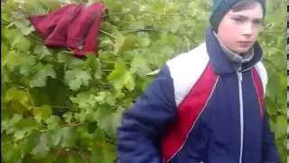 как проходят выходные в деревне (ремонт велосипеда,сбор яблок)