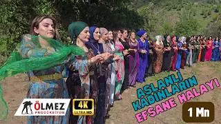Aslanlı  kadınların Görkemli Halayı Andaç köyü  kurdish wedding