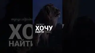 куда ведёт это дорога