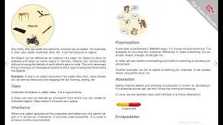 Java OOPs Concepts