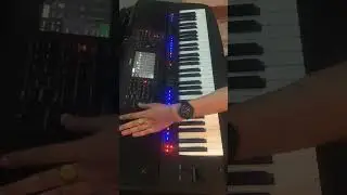 Yêu em cả trong giấc mơ  (Vinahouse Remix ) . Thạch Keyboard . Sx-700