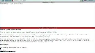 OpenPGP ElGamal Security Check (demo)