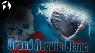 Le Grand Requin Blanc, notre plus grand prédateur !?