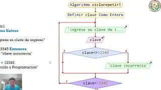 ciclo do While seudocodigo y diagrama de flujo.