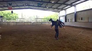 Belcam Noah Freejump