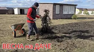 Весенние работы на ДАЧЕ.. Обрезка кустов, уборка, планы, размышления... 
